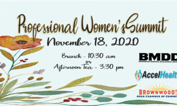 Professional Women’s Summit