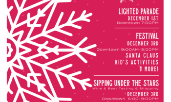 14th Annual Christmas Under the Stars in Brownwood – Event Details